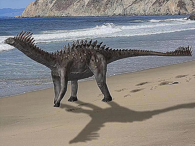 泰坦巨龙图片从哪来的,泰坦巨龙恐龙图片和简介