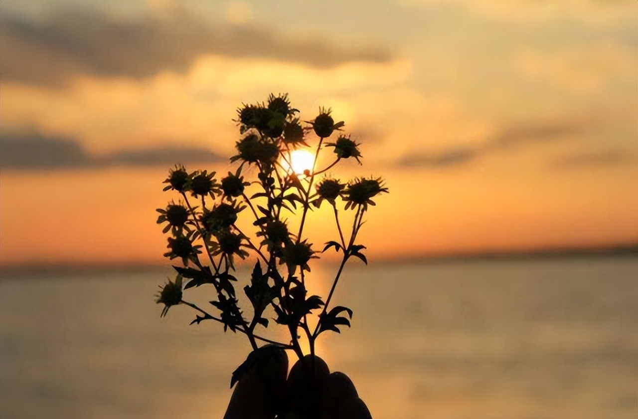 越有本事的人越爱隐藏这五点,越有本事的人往往越爱隐藏5件事