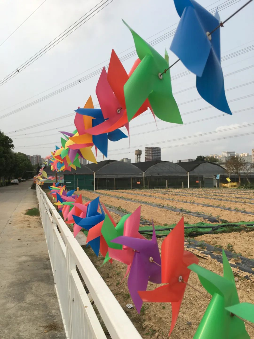 旭光车行雅迪电动车,旭光单车