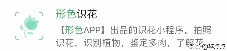 语数外小程序,免费学习语数外的小程序