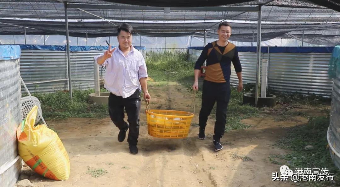 圆桶养殖新模式,致富经圆桶养鱼新模式技术视频