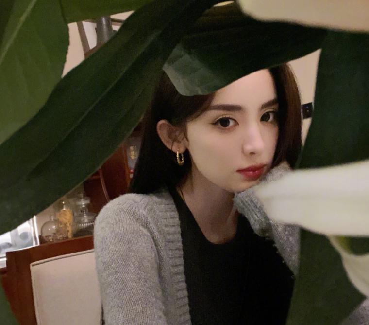 杨幂与唐人解约事件,芒果台四小花为什么辞职