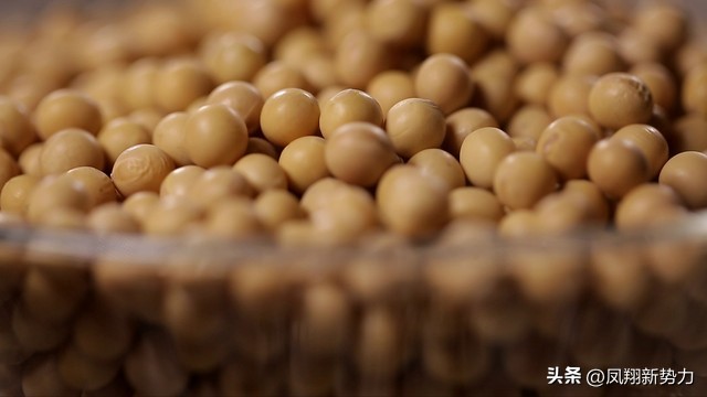 「大豆」掉价中，价格已更新2022·12·6