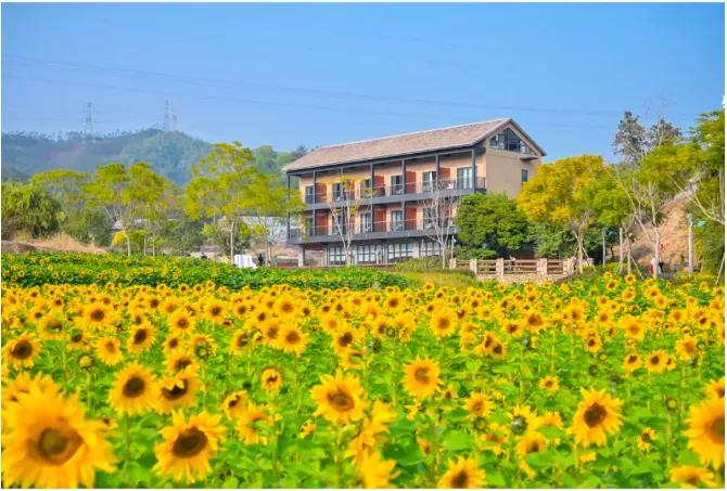 厦门四天游玩攻略大全,最新厦门游玩攻略