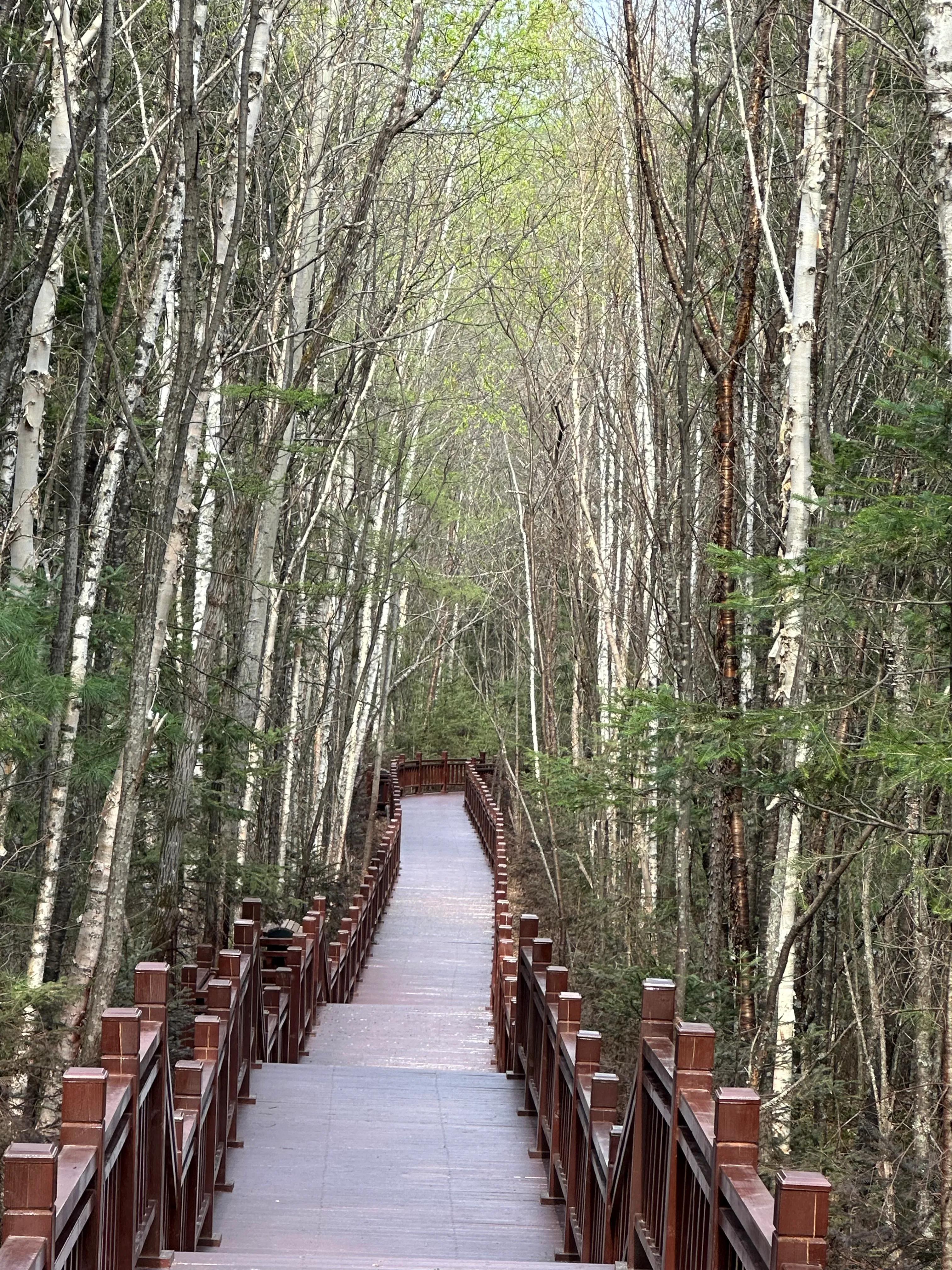 伊春汤旺河自驾攻略,汤旺河林海奇石风景区离伊春多远