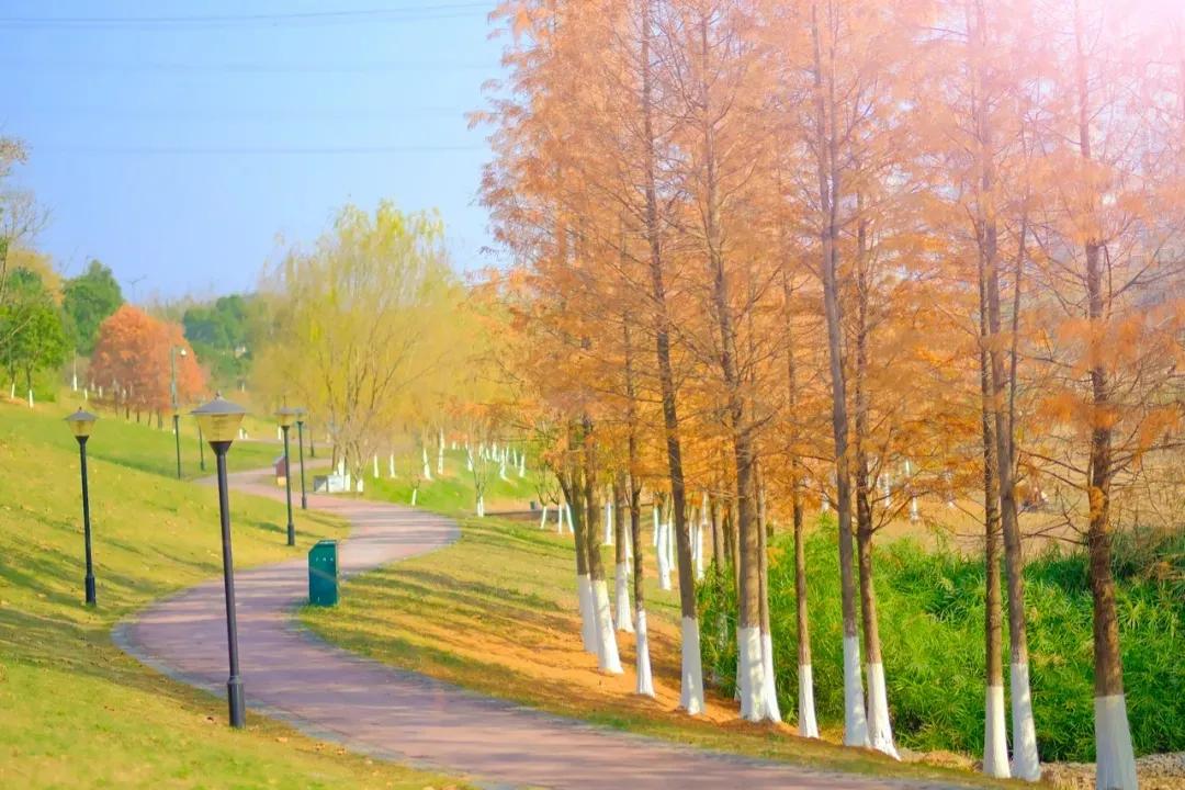 大美星沙,大美星沙松雅湖