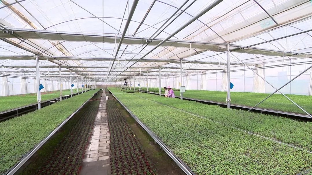 白银市现代高效循环农业示范园,白银市高效设施农业建设项目