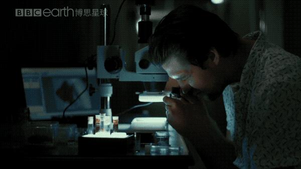 2022年十大必看大片,2022年最震撼视频