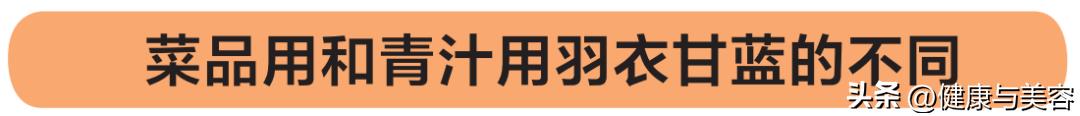 介绍一下羽衣甘蓝这种蔬菜,怎么介绍羽衣甘蓝营养价值