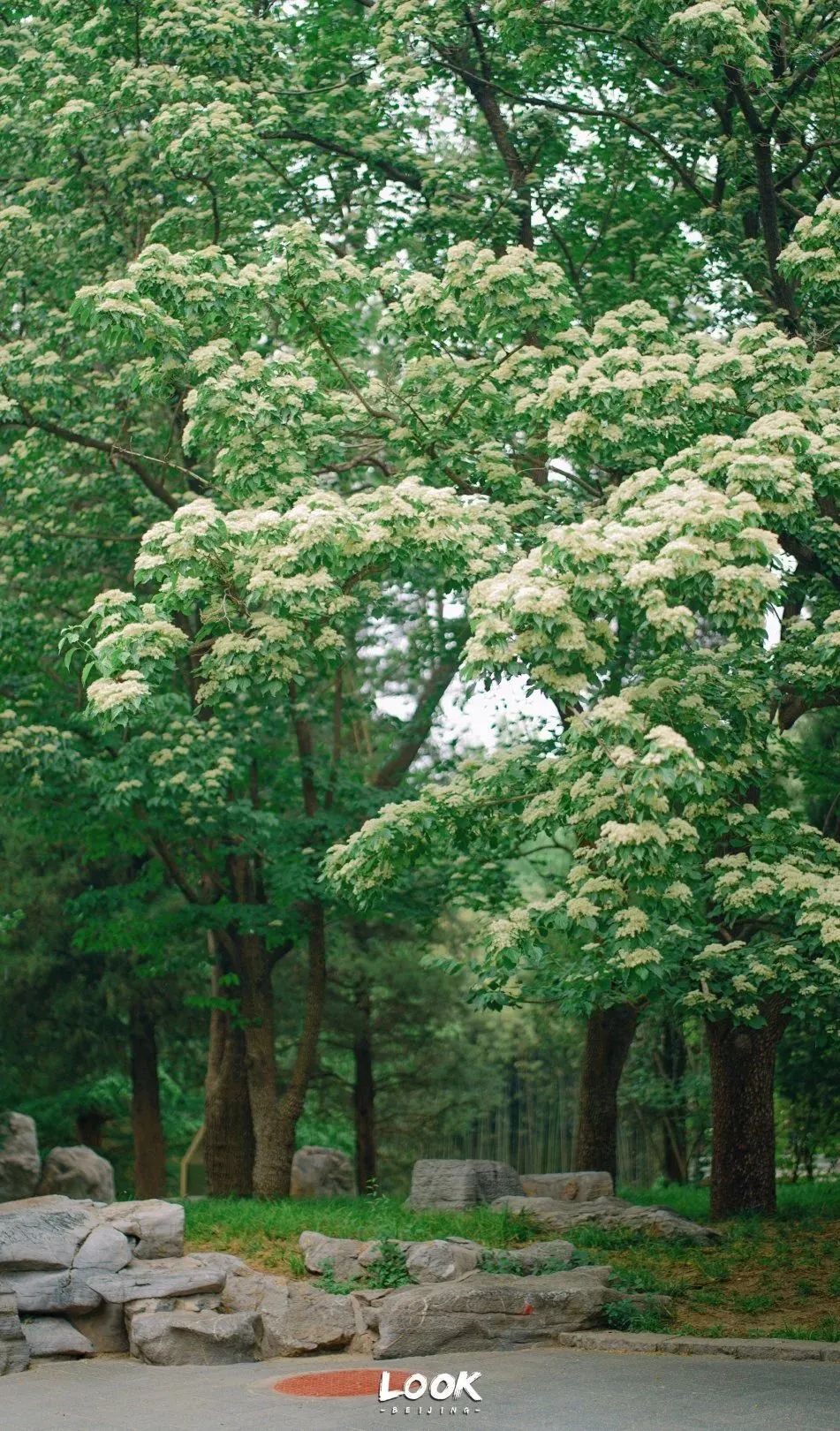 北京居庸关花海栈道,北京四季花海景区