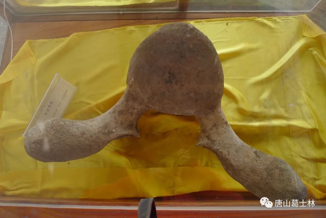 蚕沙口，一个记载着唐山海洋故事的小渔村