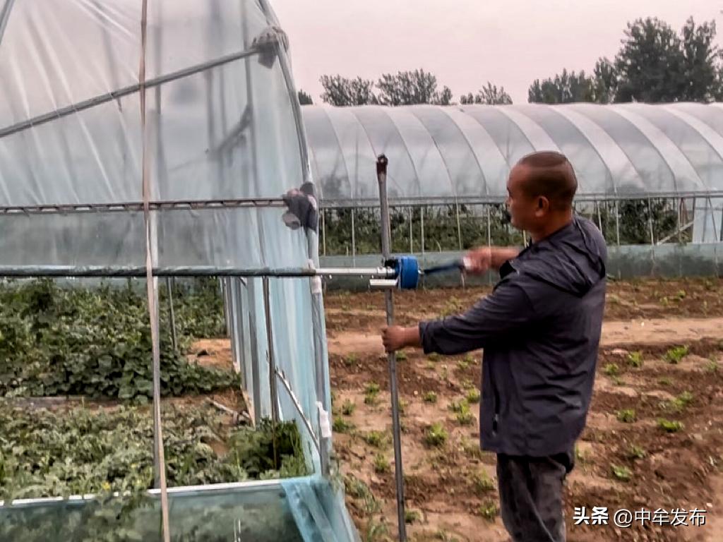 中牟县孟亚伟：90后小伙儿返乡创业争当致富排头兵