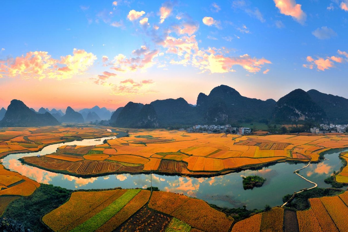 “天等”秋色也等你