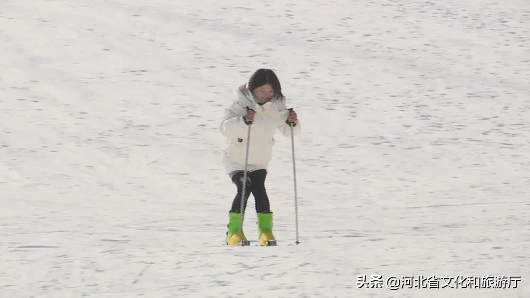 石家庄冰雪大世界滑雪,石家庄夏季滑雪场推荐
