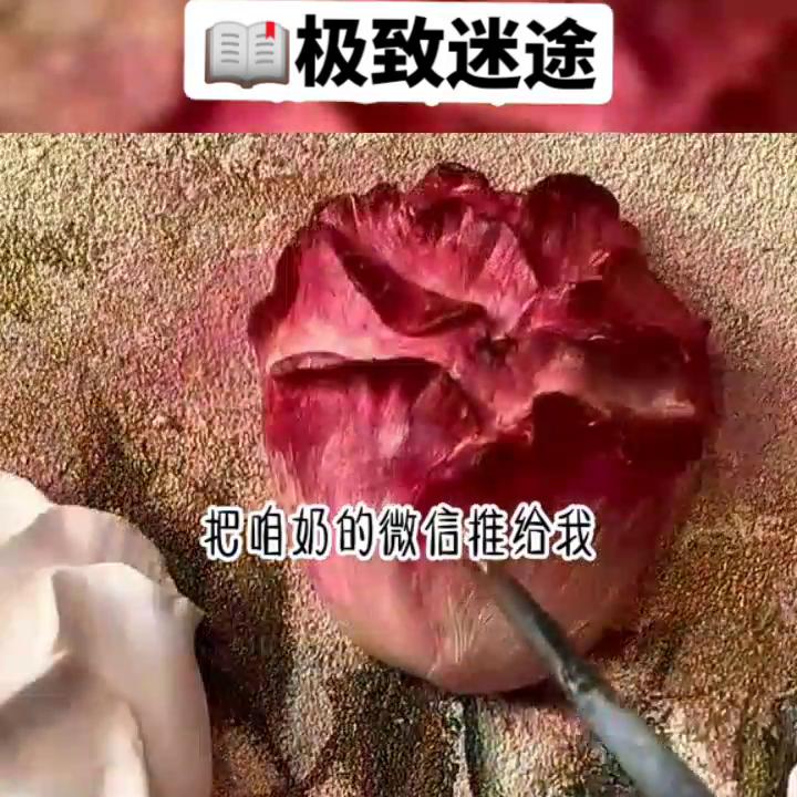 文荒推荐迷途相伴,文荒推荐极度舒适
