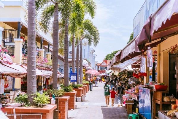 湾区光影魅力,南沙湾区超美风景线