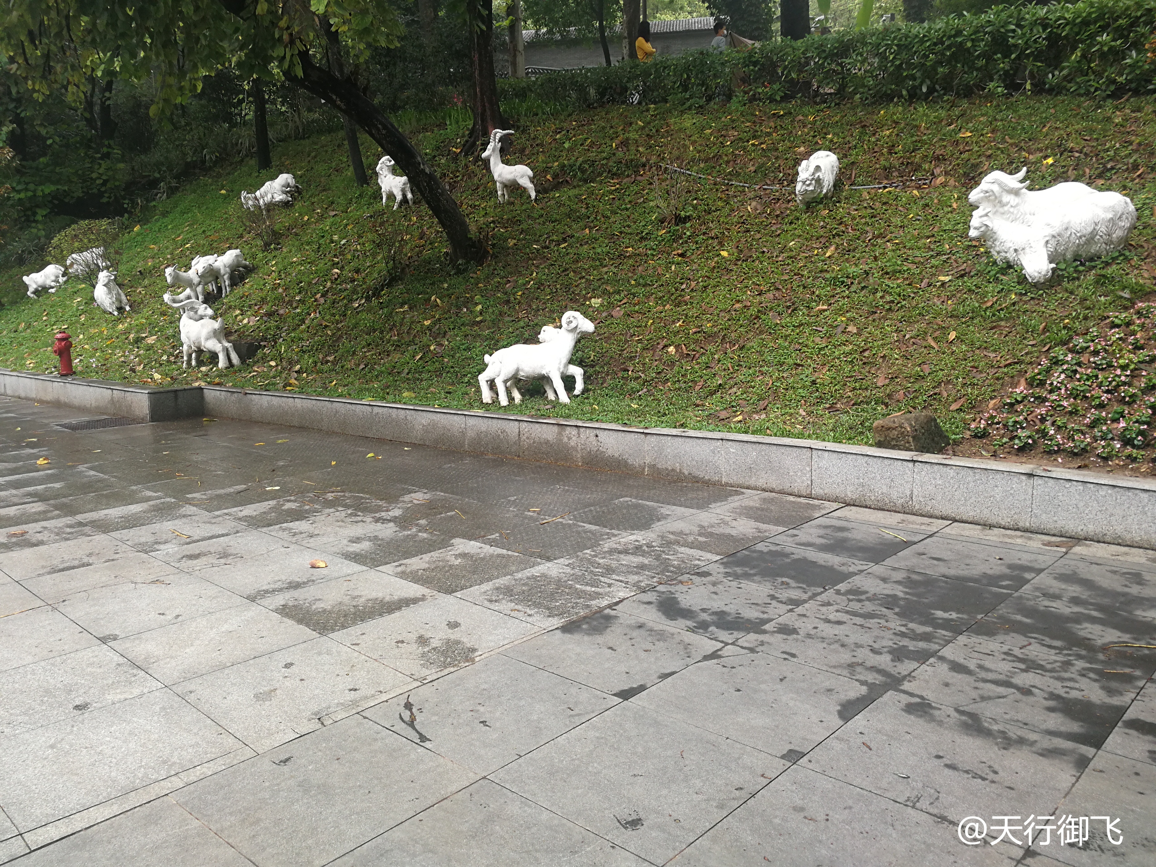 越秀公园游览最佳顺序,广州越秀公园旅游线路图