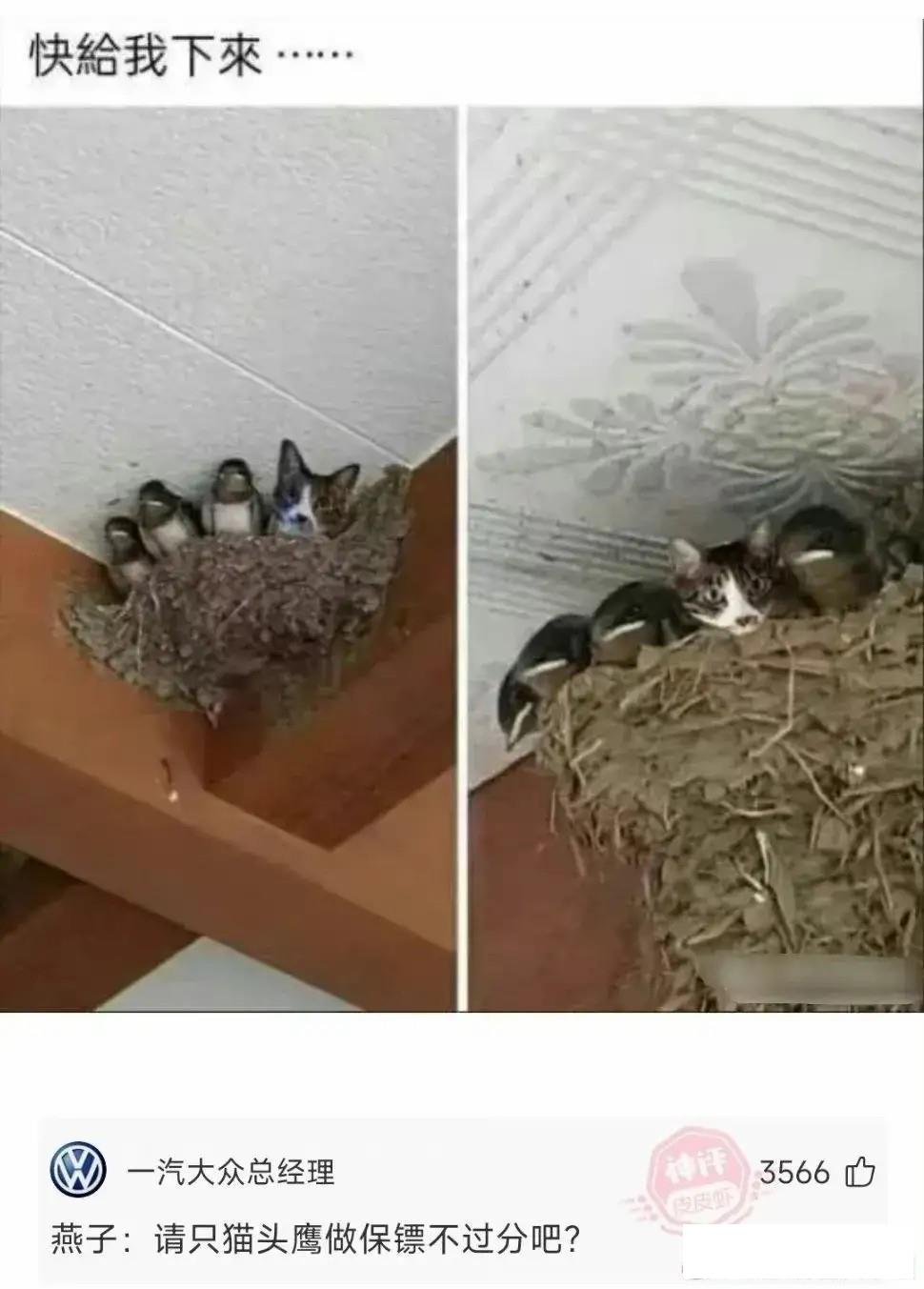 今日动图：前不久交了一位女朋友，昨天晚上约会时忍不住吻了她