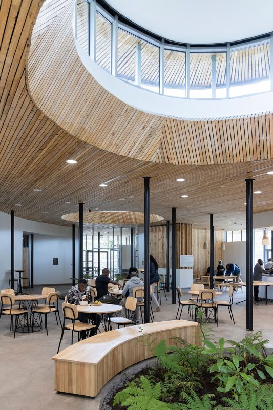 卢旺达猩猩保护区,卢旺达大猩猩保护区