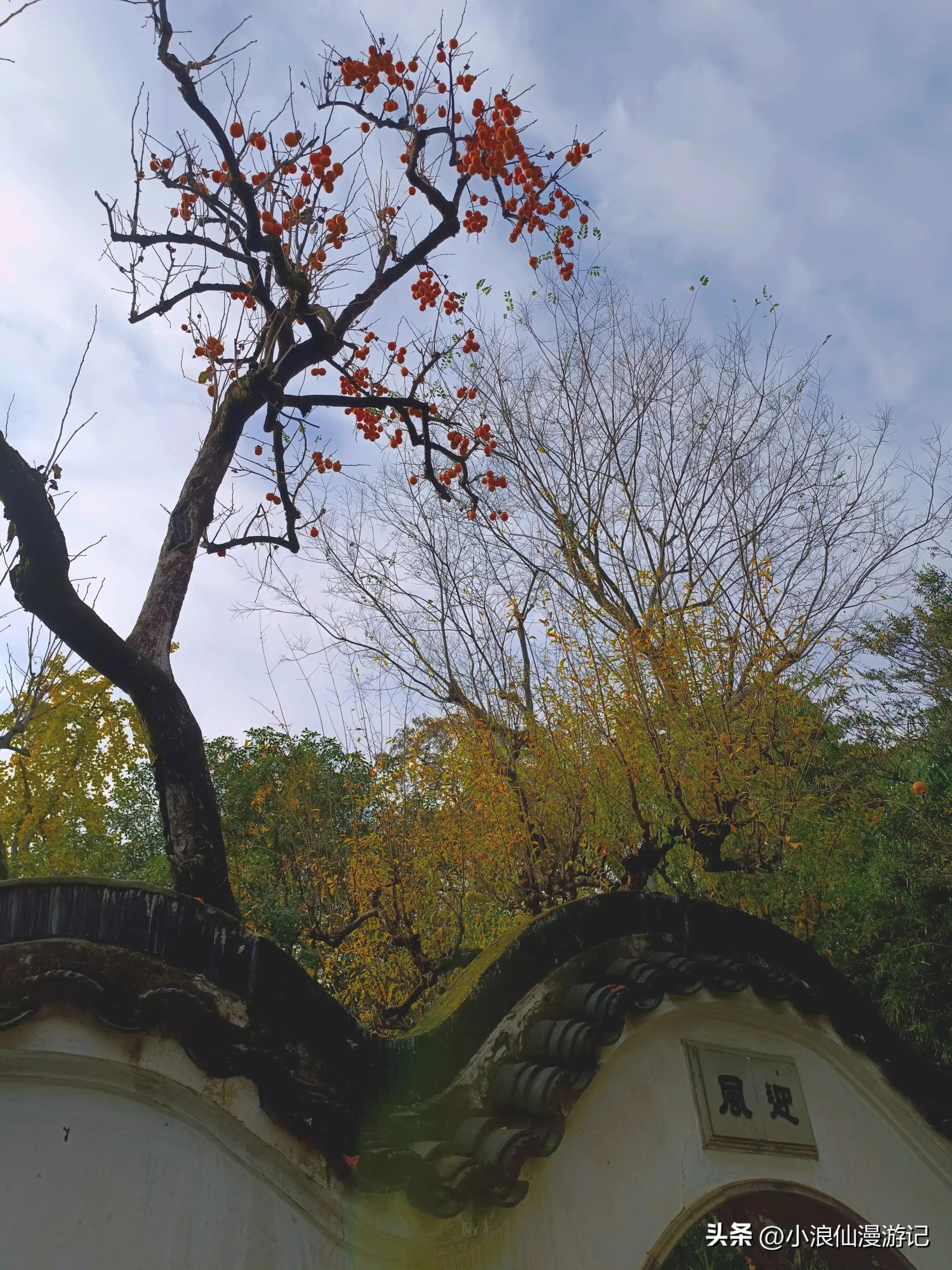 苏州园林怡园拍摄地点,苏州园林里的怡园是什么