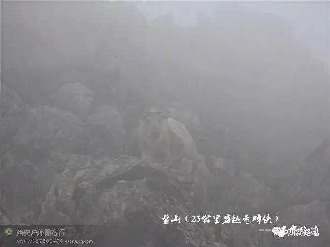 鳌山青峰峡,鳌山穿越要几天