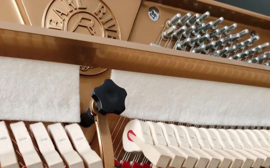 实木顶杆和ABS塑料哪个好？尚音琴行告诉您