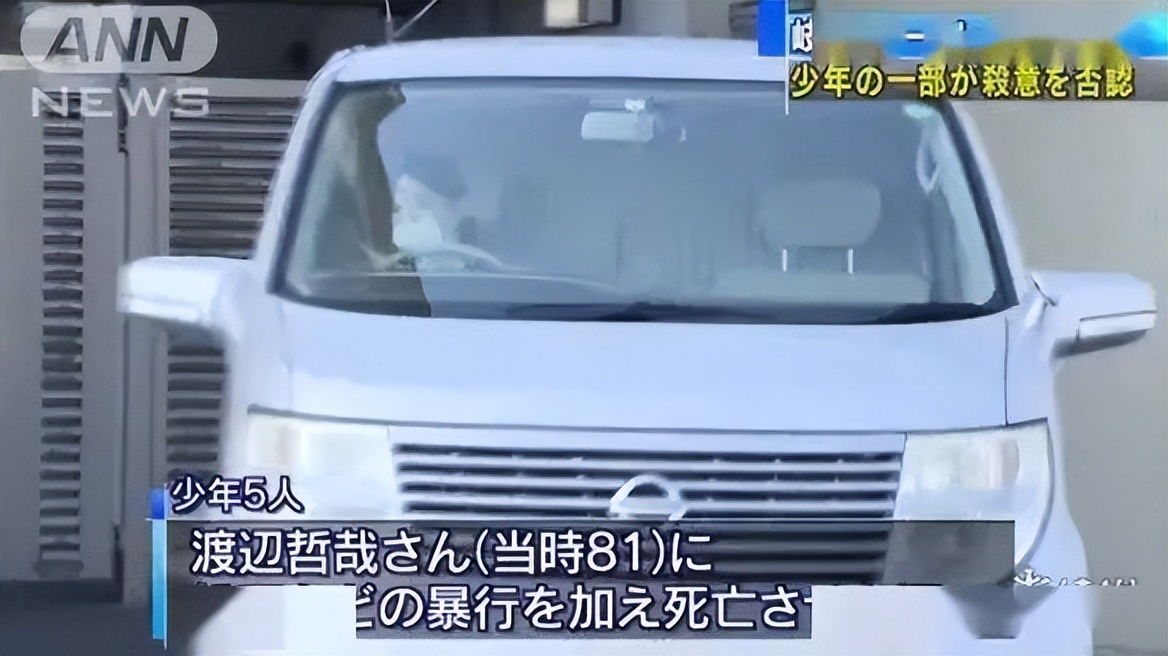 某地办比赛鼓励儿童猎杀野猫？！主办方：杀猫最多的奖励1000元！