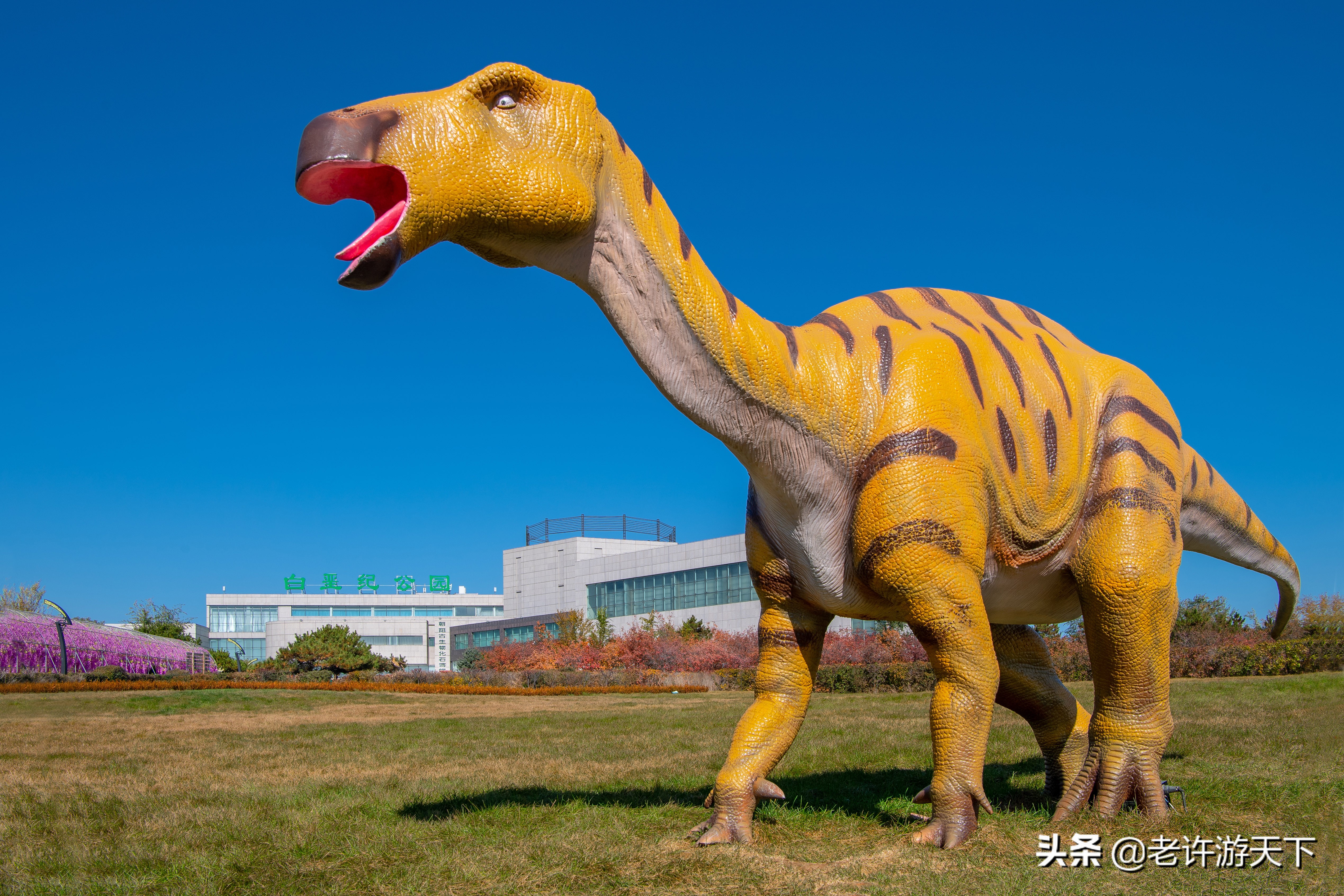 老许游记大全,老许游记第四天完整版