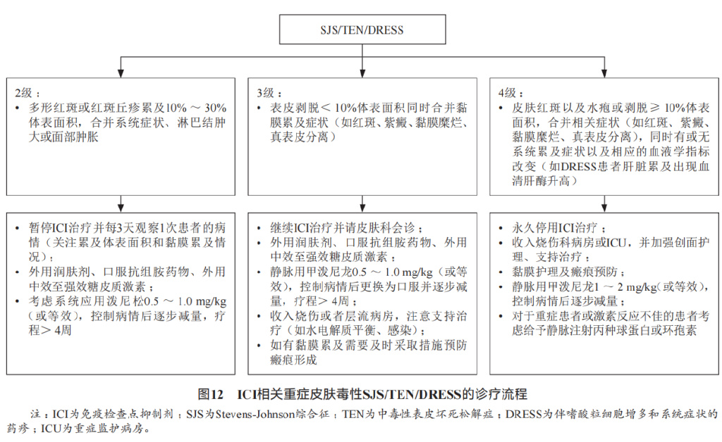 消化系统恶性肿瘤合理用药指南,胃肠道肿瘤免疫治疗前景