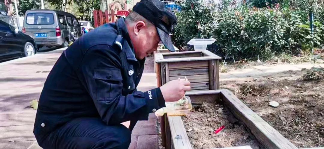 藏在照片里的秘密图,那些藏在手机里的照片