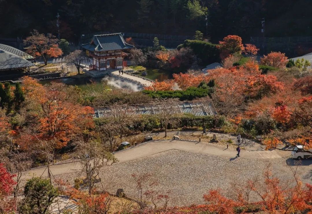 乡村振兴和巩固脱贫攻坚典型案例,人民网2022年乡村振兴示范案例