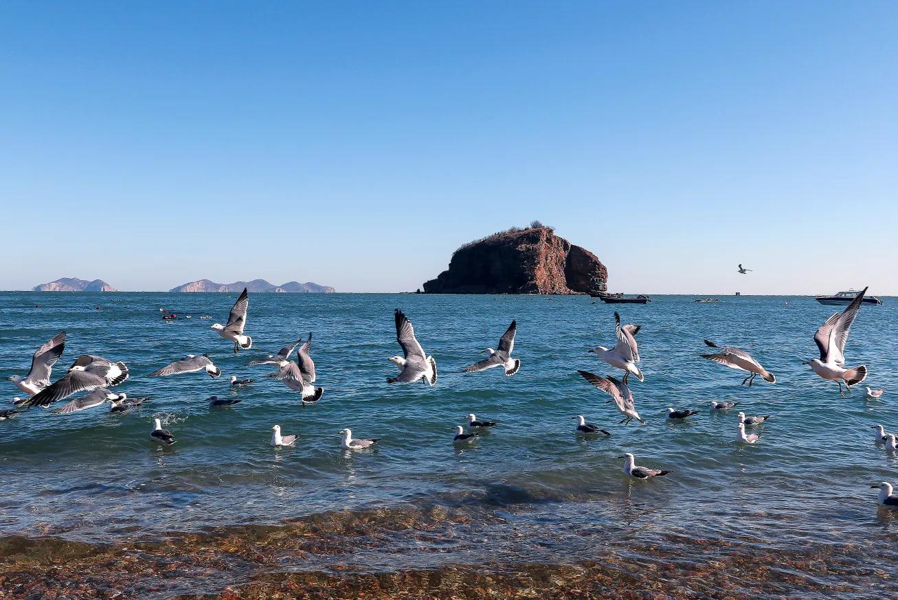 大连徒步景点预约攻略大全,大连徒步路线推荐地方有哪些