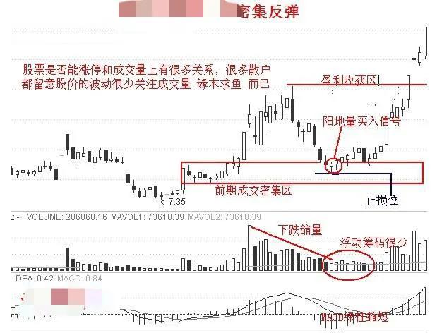 散户如何跟随行情,散户追涨停板的方法与技巧