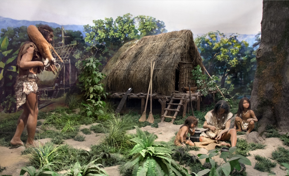 女性生殖期挺短的，为何还要经历更年期？或是为了帮助人类进化