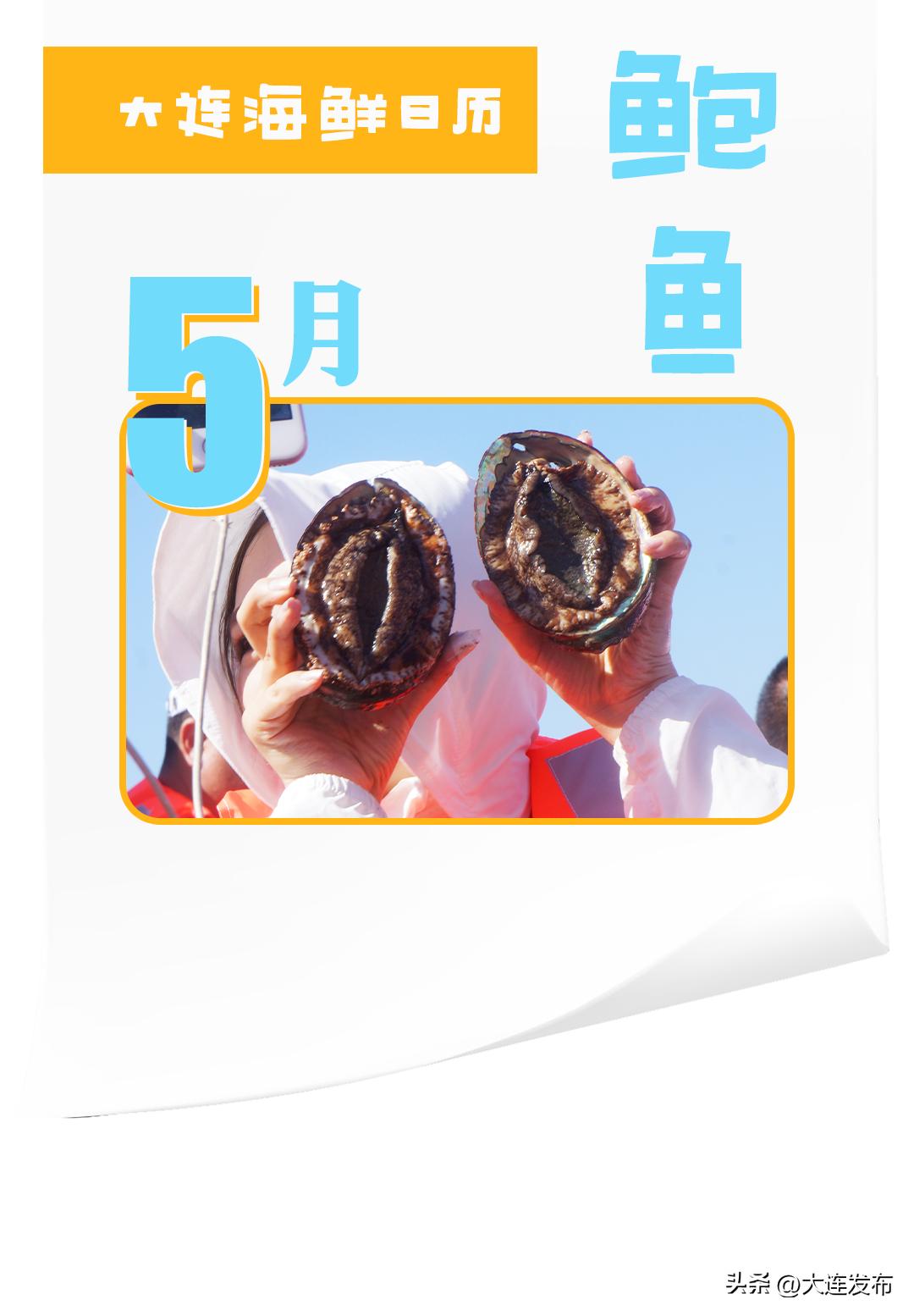 实现海鲜自由的秘诀,实现海鲜自由另一种说法