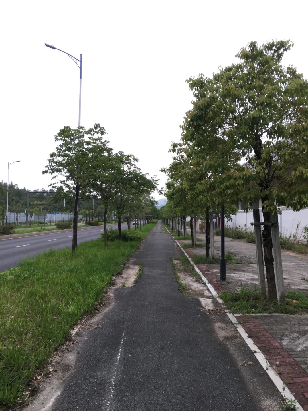 旭光车行雅迪电动车,旭光单车