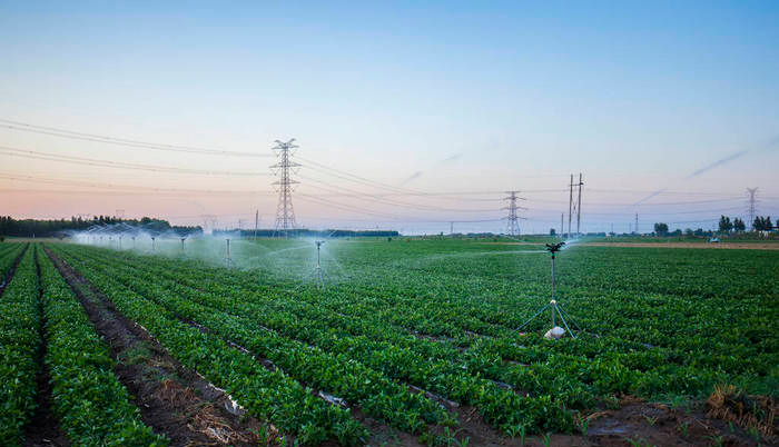试述中亚种植棉花的有利条件 (19世纪初期哪个国家对棉花有需求)