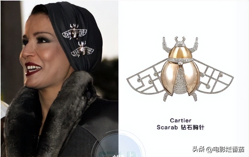 卡塔尔王太后配饰价格,卡塔尔王太后佩戴价值200万的胸针