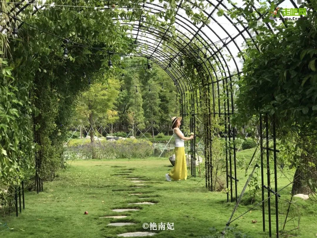 10年旅居,90后夫妻环球旅行8年走遍36个国家