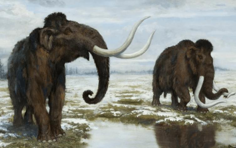 北极挖出冰冻4万年的生物,地下挖出千年老黄金