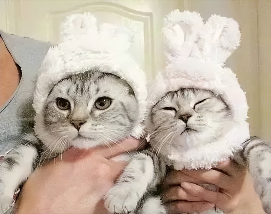 李玟的舞台魅力有多强大,李玟出道至今无绯闻