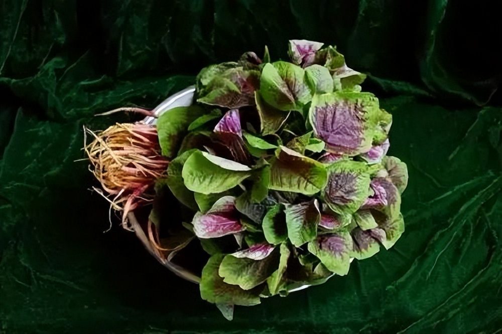 24节气秋分手抄报内容,24节气秋分闽南语解说