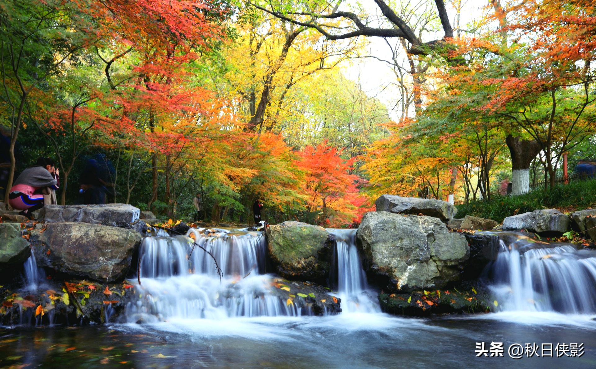 杭州秋天看枫叶最佳地点,杭州进入最佳赏枫季