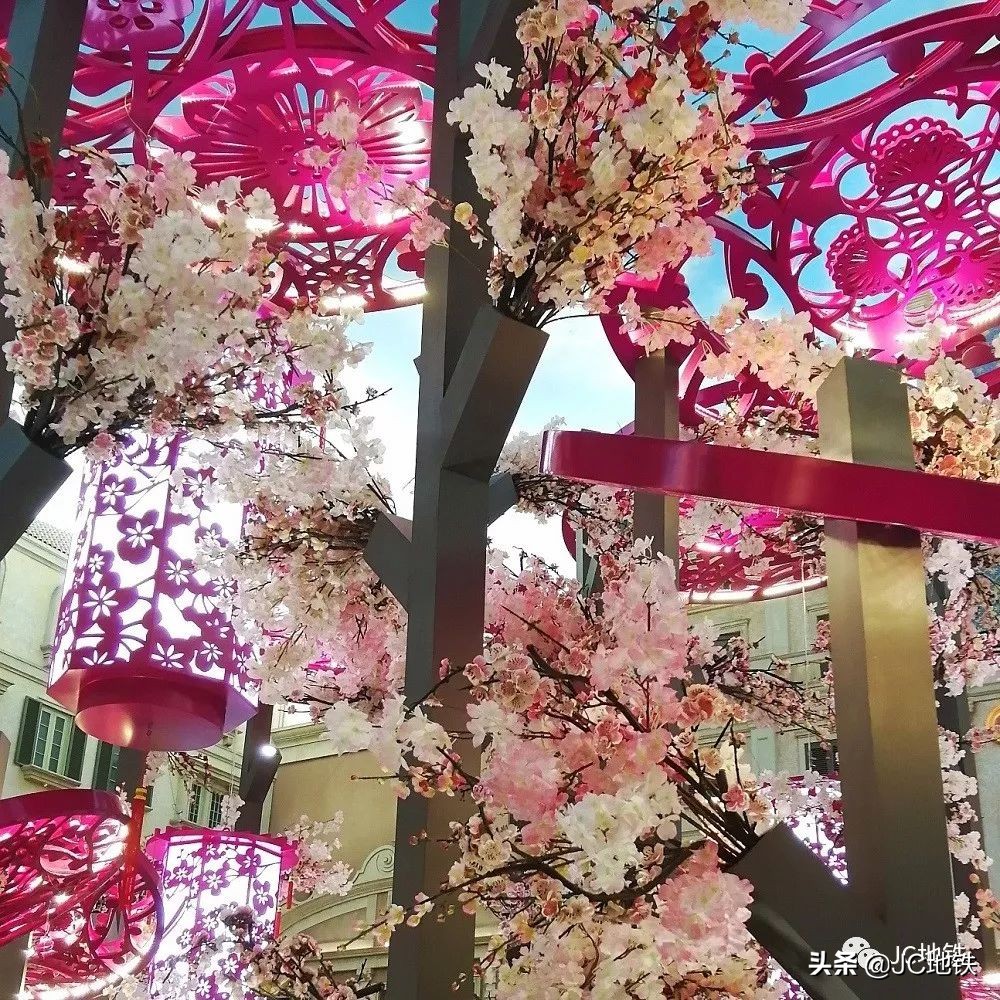 澳门必去购物商场,澳门的购物街集中在哪里