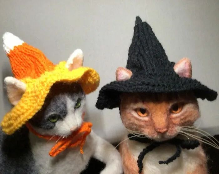 给猫咪编织帽子,给猫编织帽