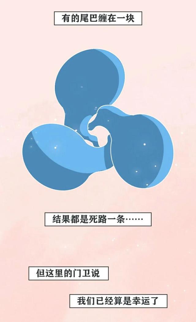 绮惧瓙杩涘叆浜轰綋24灏忔椂鍙樺寲,绮惧瓙杩涘叆浜轰綋1灏忔椂鍙樺寲