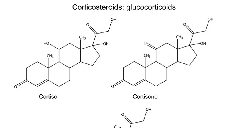 什么叫巨阴症能生育吗,巨阴症是什么病能治愈吗