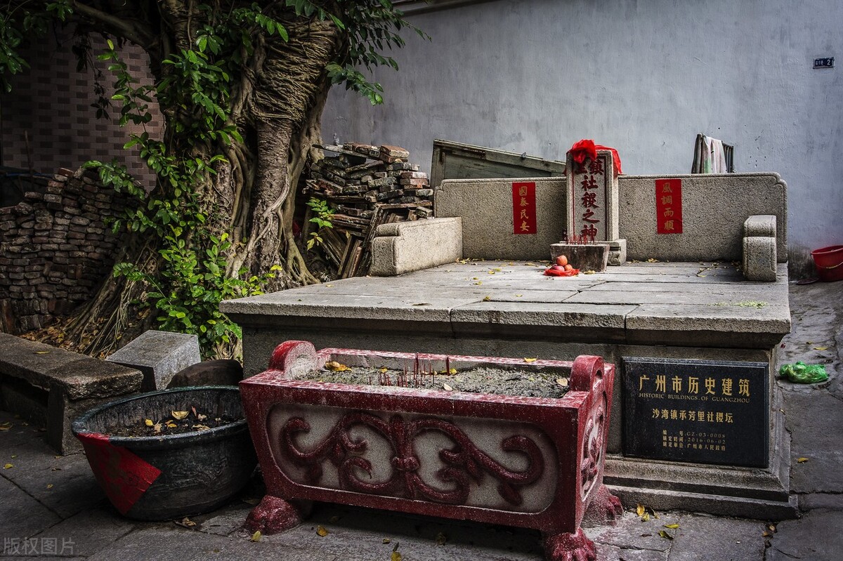 菽粟什么意思,五谷稻麦黍菽稷分别是什么