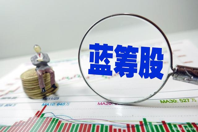 哪些是蓝筹股和白马股,估值偏低的蓝筹股都有哪些