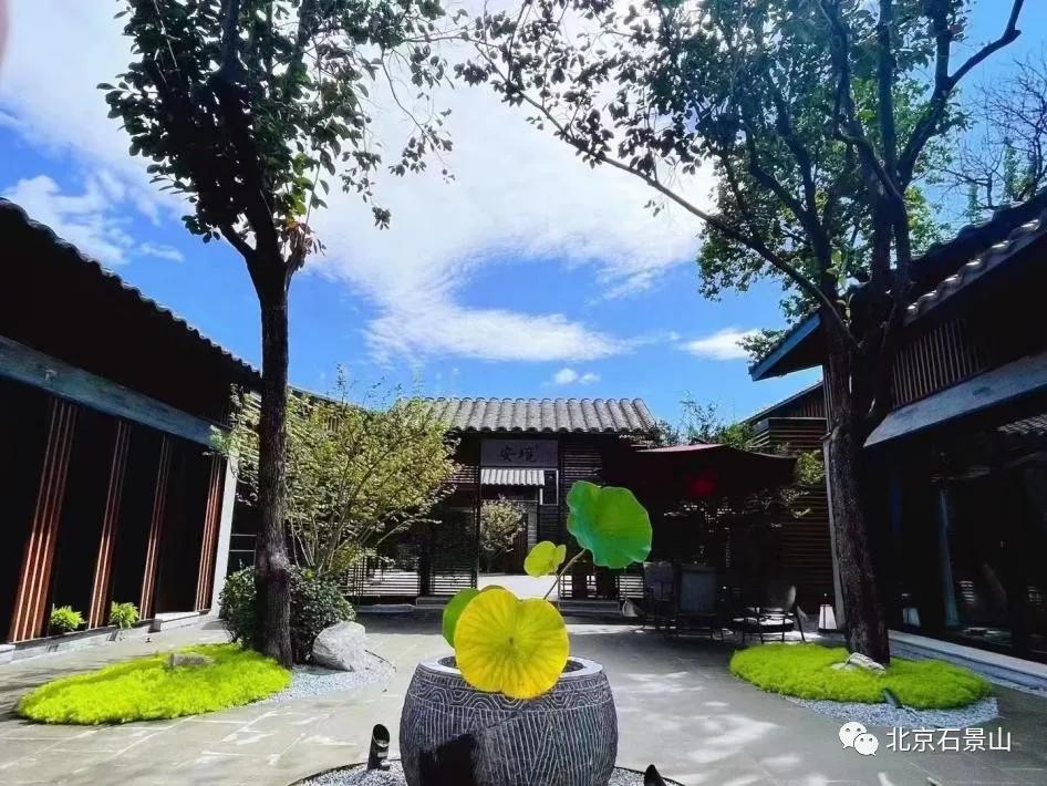 五年蝶变展新姿,五年蝶变完整版